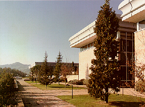Campus2.jpg (113963 byte)